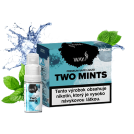 e-liquid WAY to Vape TWO MINTS 4Pack 4x10ml